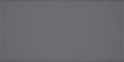 Плитка Атем MONO GR 25x60