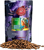 Кофе в зернах Trevi Арабика Эфиопия Джимма 250 г 4820140050804 