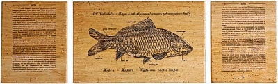 Картина Fish-Point тріптіх 