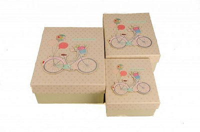 Коробка подарочная 21,5х17,5х9,5 107-37-2