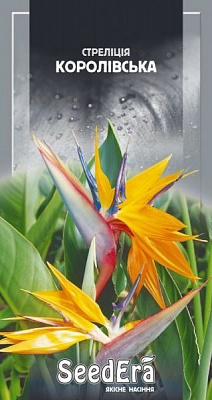 Семена Seedera стрелитция королевская комнатная 5 шт.