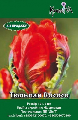 Луковица Тюльпан Rococo 3 шт. 