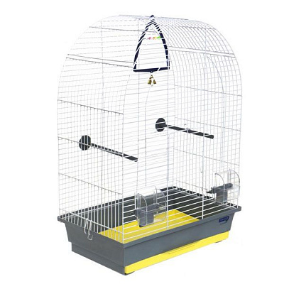 Клетка Природа Арка