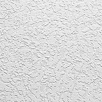 Шпалери під фарбування Vinil С- 87 1,06x25 м 