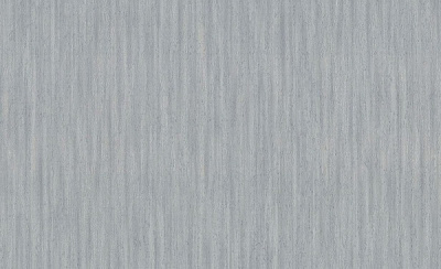 Шпалери вінілові на флізеліновій основі Vinil Айрин стіна ЭШТ 5-1567 1,06x10,05 м