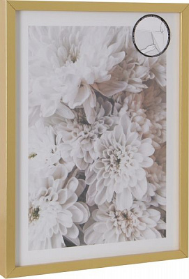 Картина Далія 30x40 см Styler OB-13820