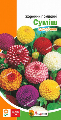 Насіння Яскрава жоржина помпонна Помпонні суміш