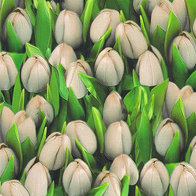 Обои из вспененного винила Sintra Decoration Тюльпаны 416709 0,53x10,05 м