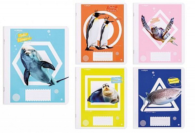 Комплект тетрадей Морские животные 12 листов в клетку 25 шт. Поділля