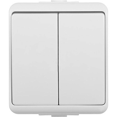 Выключатель двухклавишный HausMark Power без подсветки 10 А 250В белый HSN-SWP.H2C44G2W1-WH