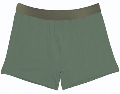 Трусы для мальчиков KOSTA р.146–152 зеленый хаки 2447-6 