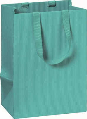 Пакет подарунковий One Colour turquoise 10x8x14 см STEWO