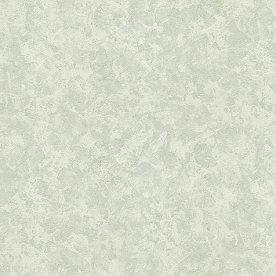 Шпалери VINIL Тулуза СШТ1-0878