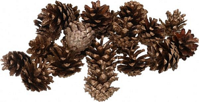 Декорація новорічна набір шишок з золотою присипкою EPI-EY36085-1