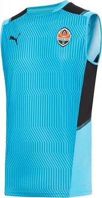 Футболка Puma FCSD Training Jersey SL 76410804 р. XL голубой