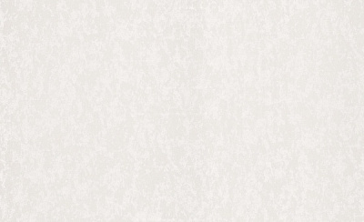 Шпалери вінілові на флізеліновій основі Status 403ST00 1,06x10,05 м