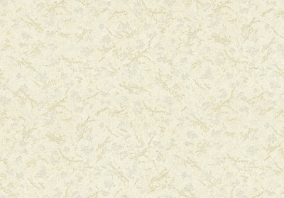 Шпалери вінілові на флізеліновій основі Vinil Софі СШТ 7-1210 1,06x10,05 м