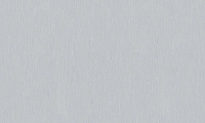 Обои виниловые на флизелиновой основе Erismann Fashion For Walls 2 12035-31 1,06x10,05 м 