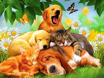 Набор для творчества со стразами на подрамнике Сонное царство 30x40 см Діамантові ручки 