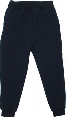 Штаны детские Україна Шт 3302 р.104 синий 