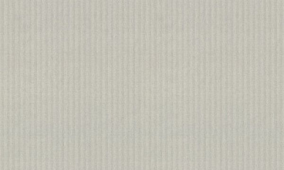 Обои виниловые горячего тиснения Vinil Орландо СШТ 6-1220 1,06x10,05 м 