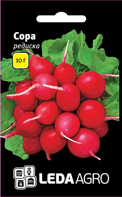 Семена LedaAgro редис Сора 10г (4820119796672)