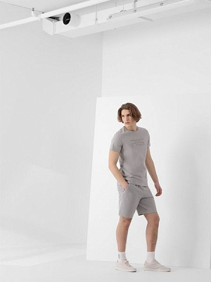 Шорты 4F R4L21-SKMD903-25S р. S серый