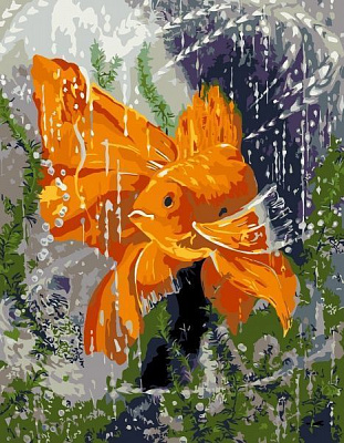 Картина за номерами Золота рибка 35x45 см Rosa Start