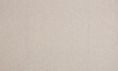 Шпалери вінілові на флізеліновій основі Bravo 86090BR81 1,06x10,05 м