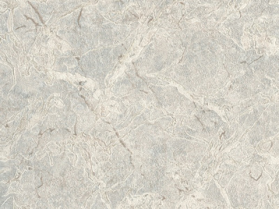 Шпалери вінілові на паперовій основі Слов'янські шпалери Expromt Августіна 9108-03 0,53x10,06 м