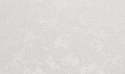 Шпалери вінілові на флізеліновій основі WallCOLOR W 163 C 20 1,06x10,05 м