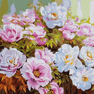 Картина за номерами Розмаїття півоній 50х50 см 50x50 см Ідейка