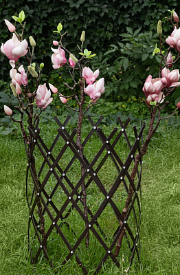 Опора-ограждение ММ-Пласт D50 x H45 см коричневая