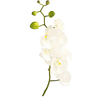 Растение искусственное Орхидея 4731 WH