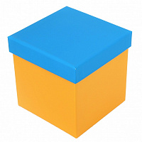 Коробка подарочная Желто-голубая 20.5*20.5 см 4110190907
