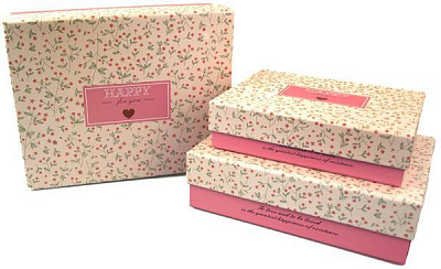 Коробка подарункова C210-3 Рожева 24х19х8 см