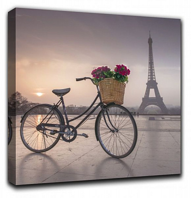 Репродукція AF Paris 223 50x50 см RozenfeldArt