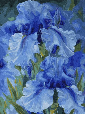 Картина по номерам Голубые ирисы 30х40 см Идейка 