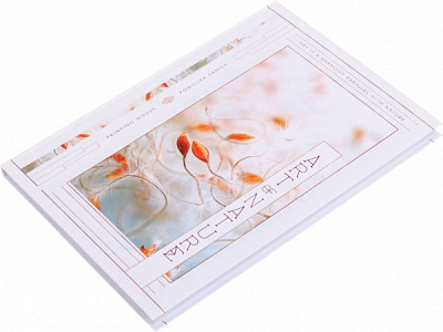 Блокнот А4 в клітинку 120 аркушів в асортименті Поділля