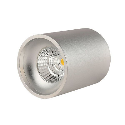 Світильник точковий Estares 10 Вт сріблястий CLN-117S 10W 4000K SILVER