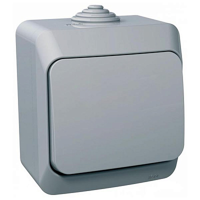 Выключатель влагозащищенный одноклавишный Schneider Electric Cedar Plus без подсветки 10 А 250В IP55 серый WDE000610