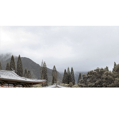 Декор Golden Tile Bamboo №3 Н71331 250x400 мм бежевый