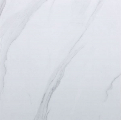 Плитка PGVT PGVT 600x600 vitro satuario