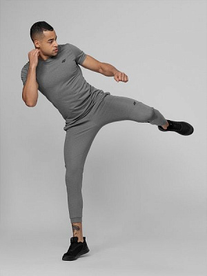 Штани 4F D4L21-SPMTR200-24M р. 2XL сірий