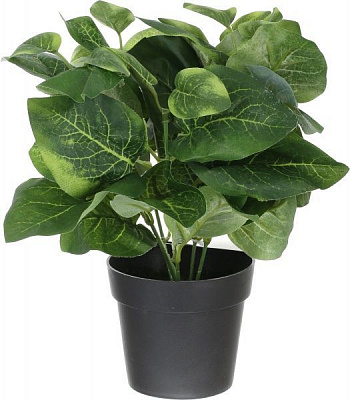 Квіткова композиція штучна Аглаонема зелена PFC(NL)-717C