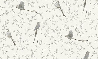 Обои виниловые на флизелиновой основе A.S. Creation Birds 38222-2 1,06x10,05 м 