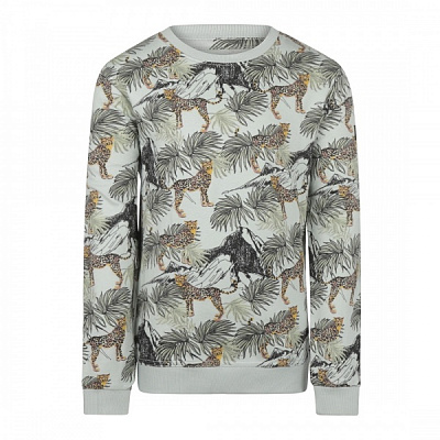 Реглан для хлопчика NWM трикотажний р.152 світло-зелений U44191-1