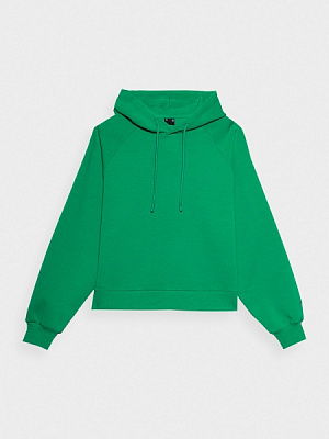 Джемпер 4F SWEATSHIRT F0863 4FSS23TSWSF0863-41S р.L зеленый