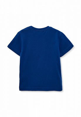 Футболка для мальчиков Роза р.104 электрик 210109 