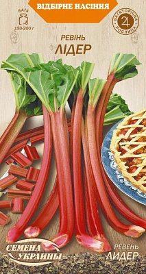 Насіння Семена Украины ревінь Лідер 617300 0,5г